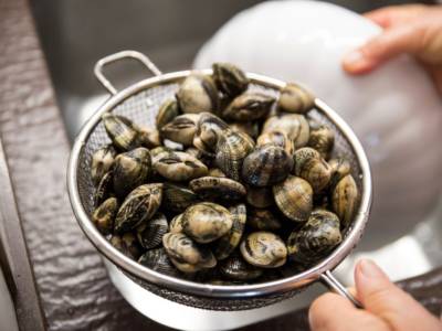 Come spurgare vongole con latte