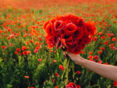 Significato bouquet sposa papaveri