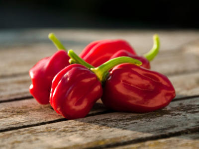 peperoncino habanero rosso