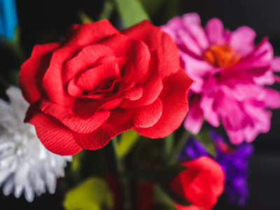 Come fare una rosa con la carta crespa