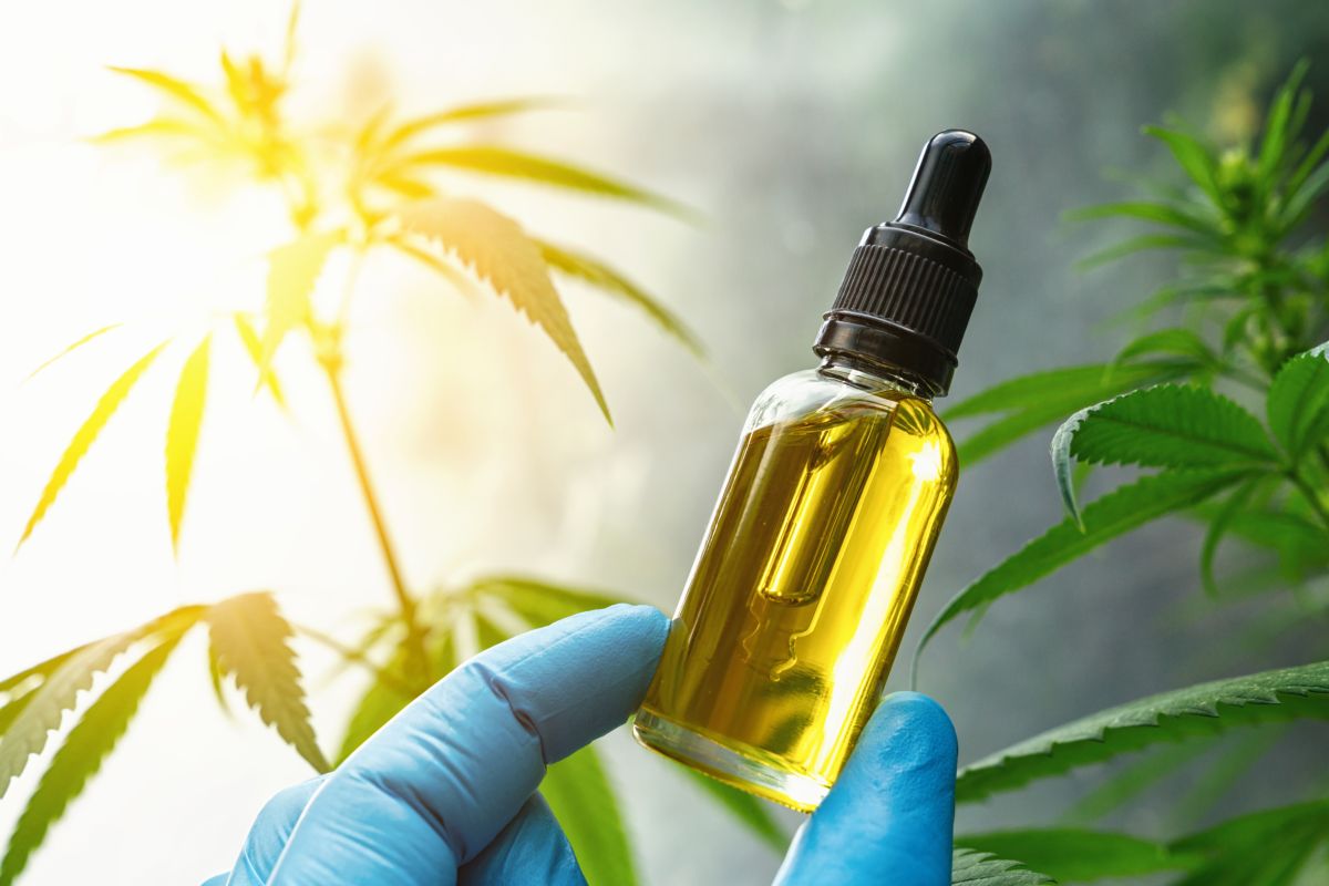 Quali sono i benefici dell’olio di CBD