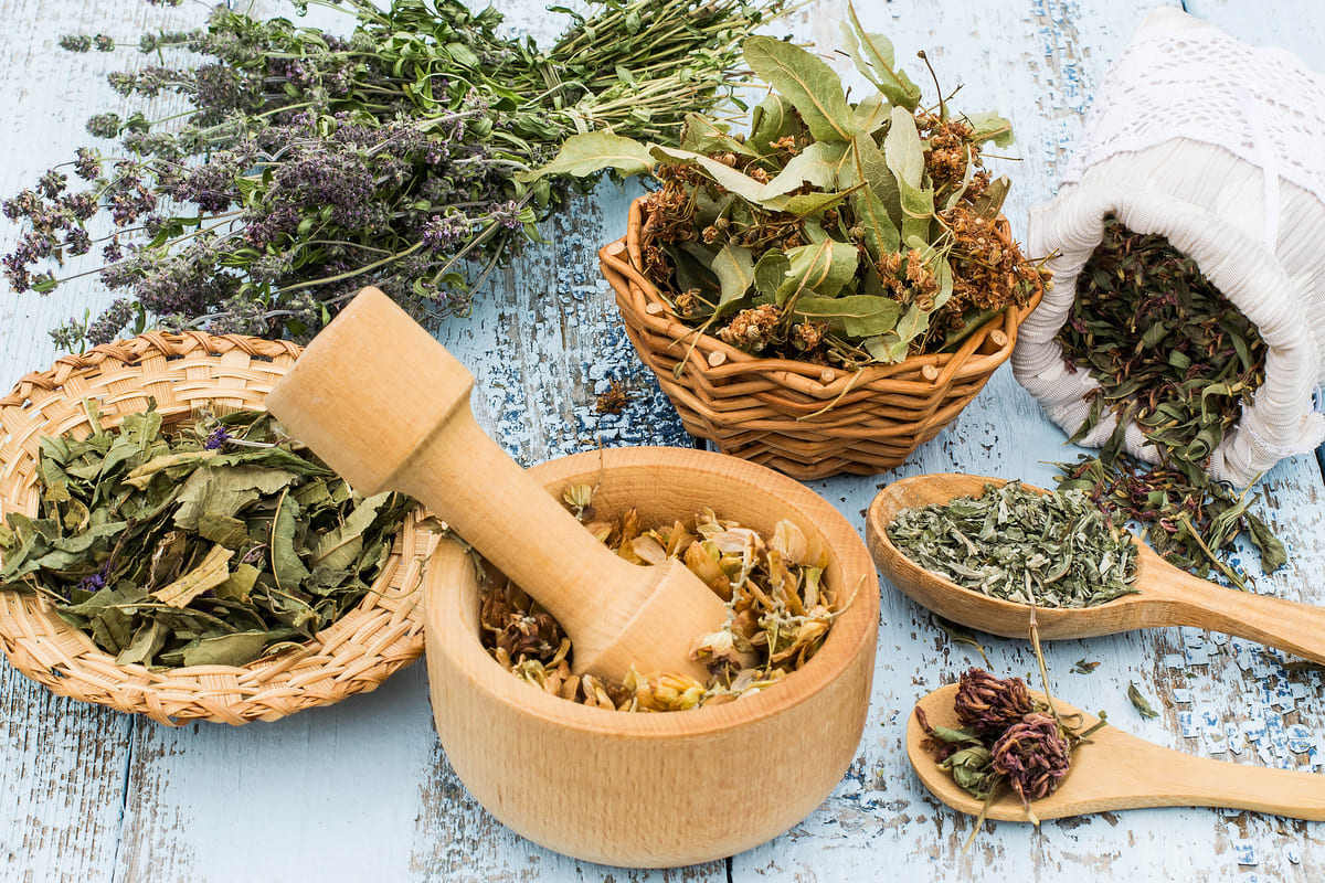 La Festa delle Erbe Aromatiche, Officinali e Antiche Piante