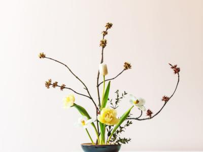 Come fare un ikebana stile seika