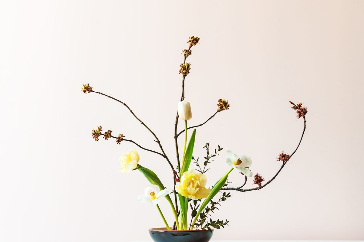 fiori composizione ikebana seika