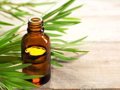 Come usare tea tree oil per micosi