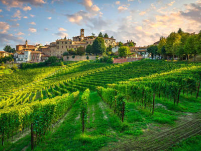 Paesaggio Neive langhe