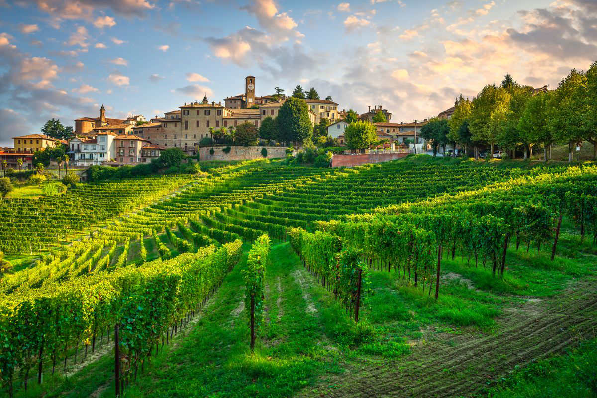 Paesaggio Neive langhe