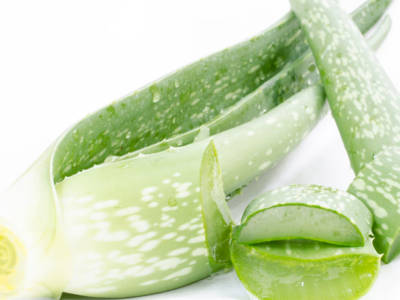 Aloe vera: una pianta dalle straordinarie proprietà benefiche