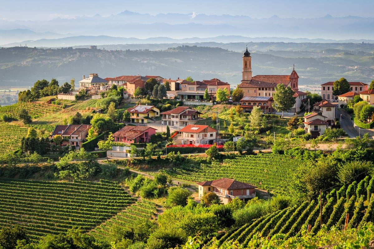 Le langhe Treiso Piemonte