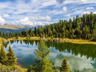 Trentino Alto Adige Parco Naturale Paneveggio