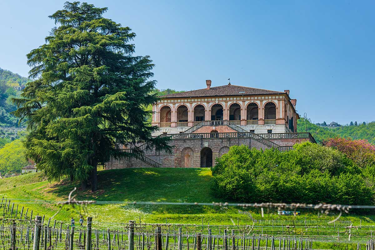 Villa dei Vescovi