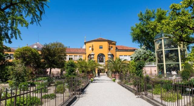 Siti Unesco in Italia: l’orto botanico di Padova