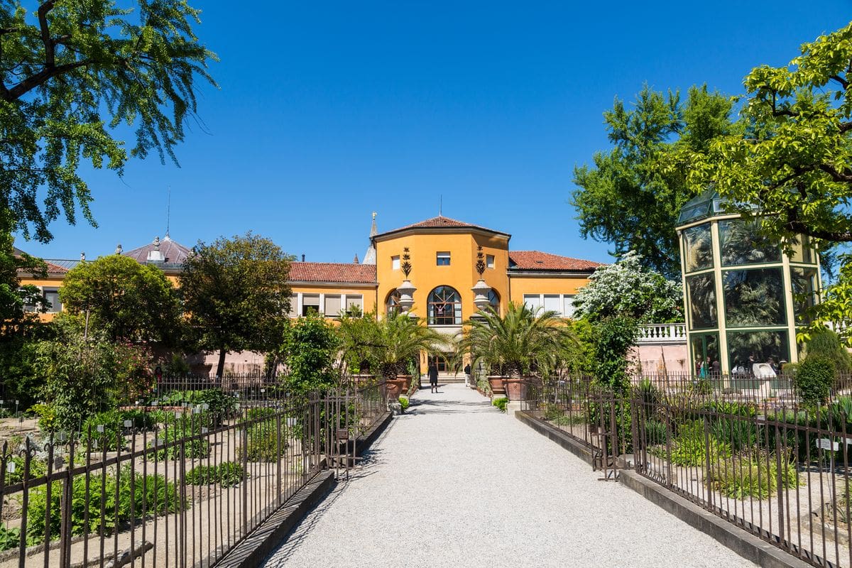 L'orto botanico di Padova