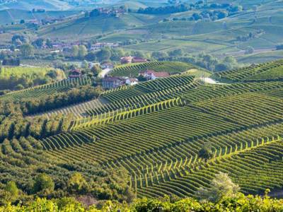 Siti Vitinicoli Vitigni Langhe Monferrato