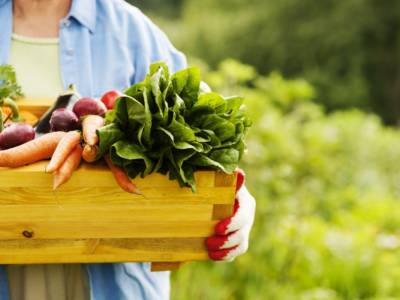 Scatola di legno con verdure