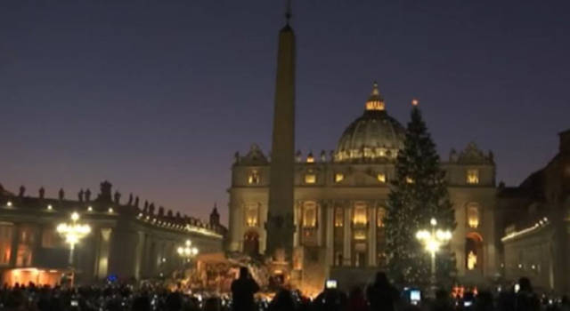 Brilla lo spettacolare albero di Natale in piazza San Pietro