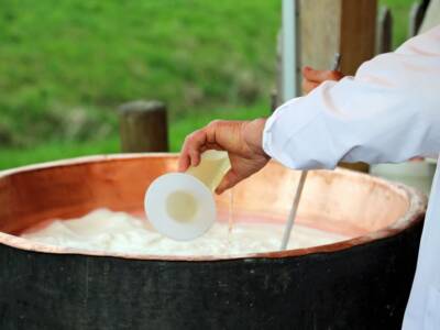 lavorazione formaggio caglio