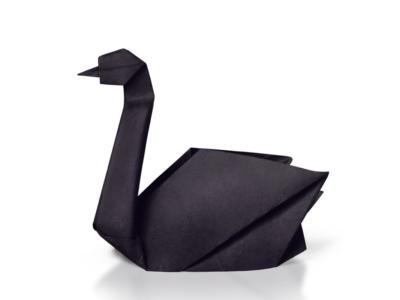 cigno nero origami