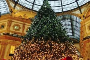 Albero di Natale con stile