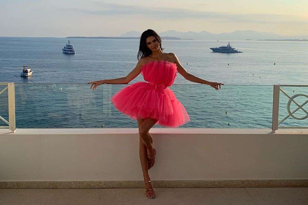 Kendall jenner in Flamingo pose