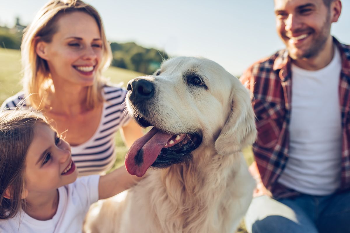 Quali cani hanno occhi azzurri