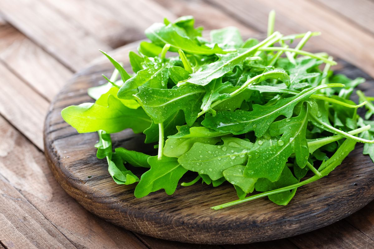 Rucola fresca foglie lavate