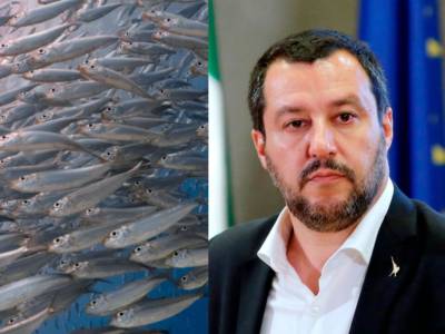 Chi sono le “sardine”: il movimento di Bologna contro Salvini