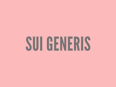 Cosa significa sui generis?