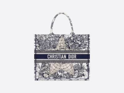 Book Tote Bag Dior