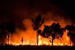 Fuoco fiamme incendio