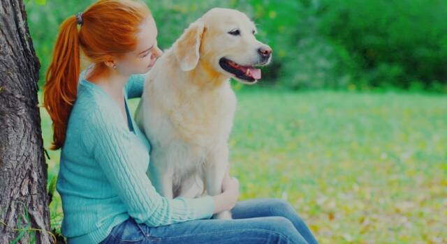 I cani evitano il suicidio nei soggetti autistici: lo prova una ricerca inglese
