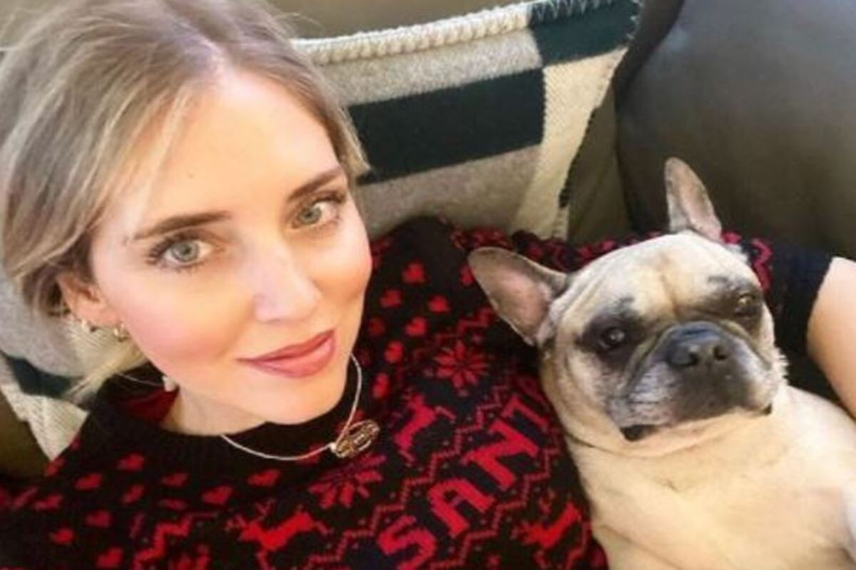 Chiara Ferragni cane