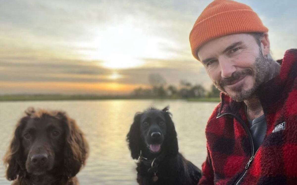 David Beckham si rilassa con i suoi cagnolini: ecco il tenero scatto