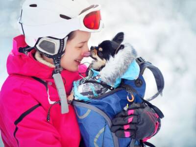 chihuahua e bambina