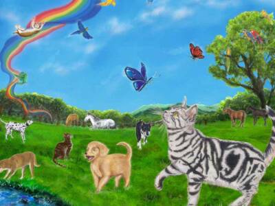 disegno animali ponte arcobaleno