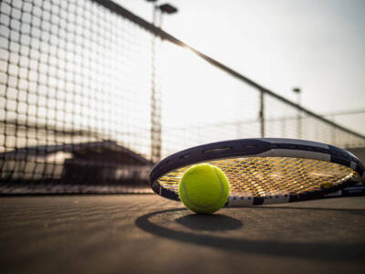 racchetta pallina campo tennis