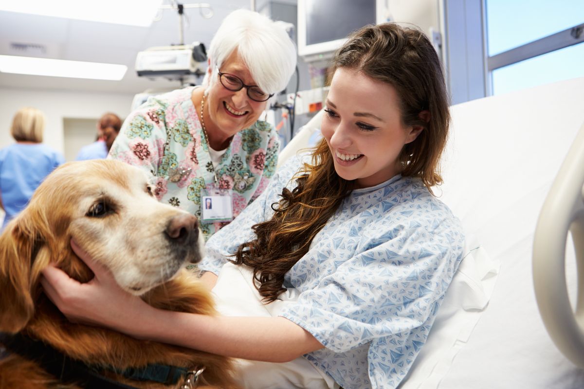 cane ospedale pet therapy