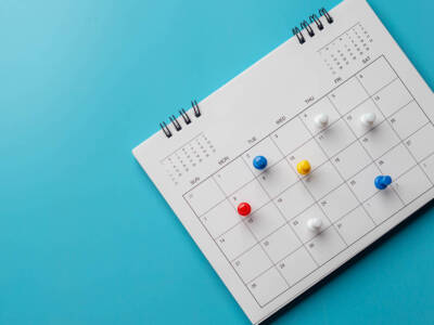 pin calendario