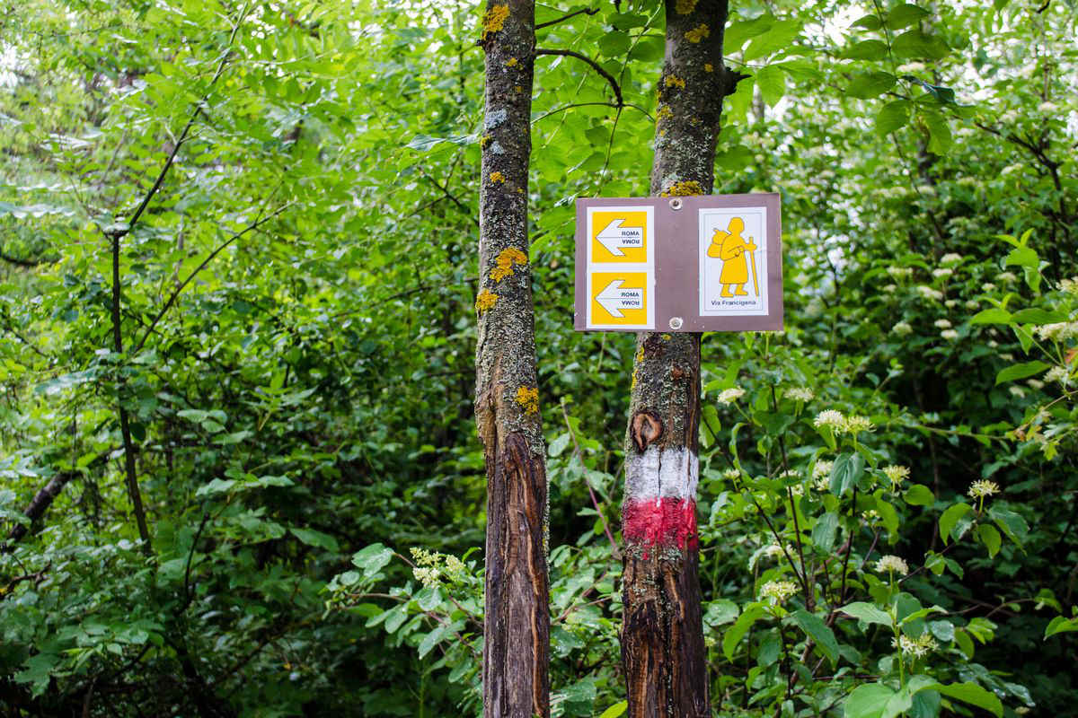 sentiero bosco segnali