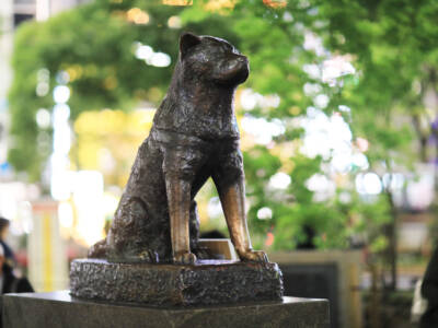 Statua cane Hachiko