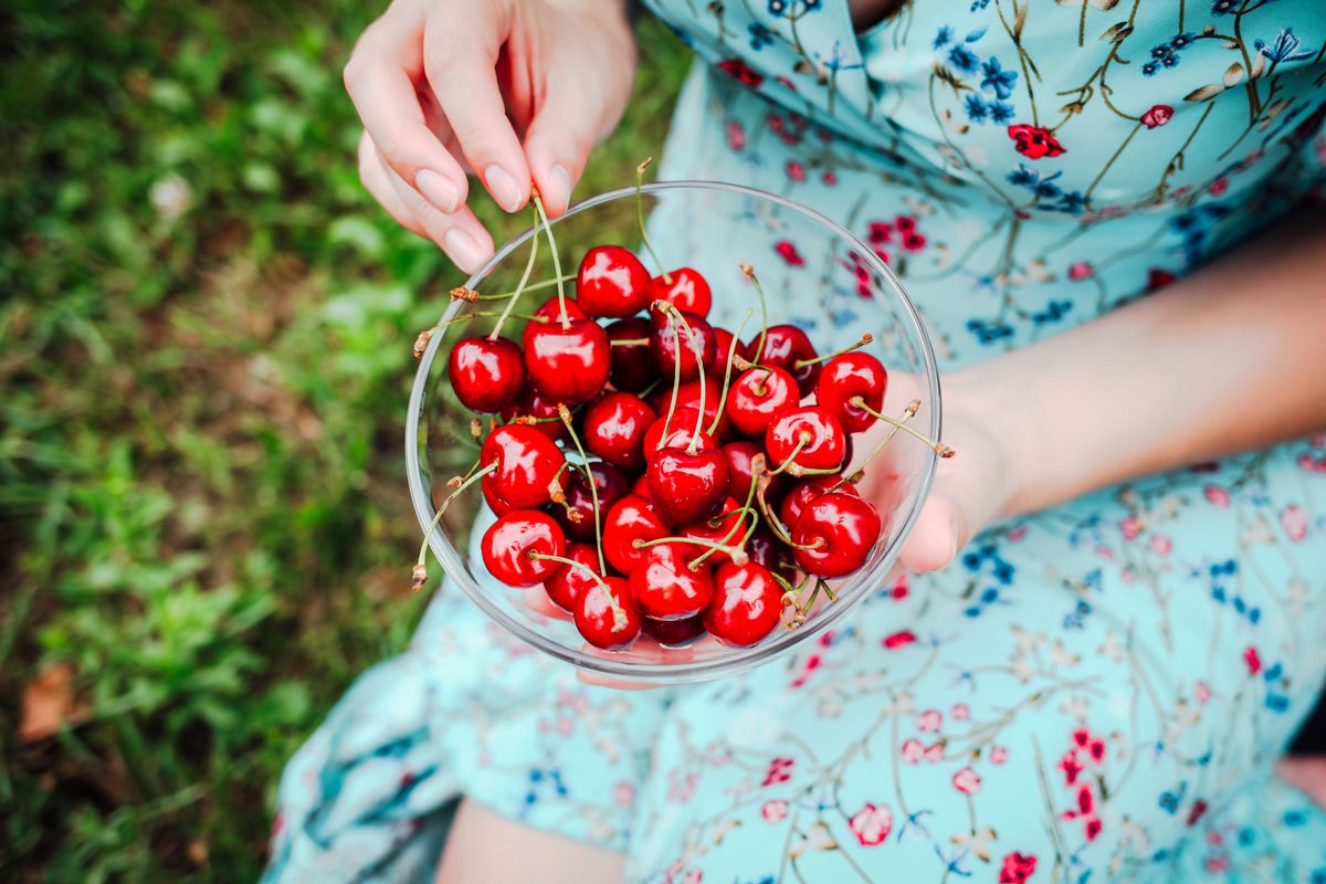 ciotola ciliegie fresche giardino