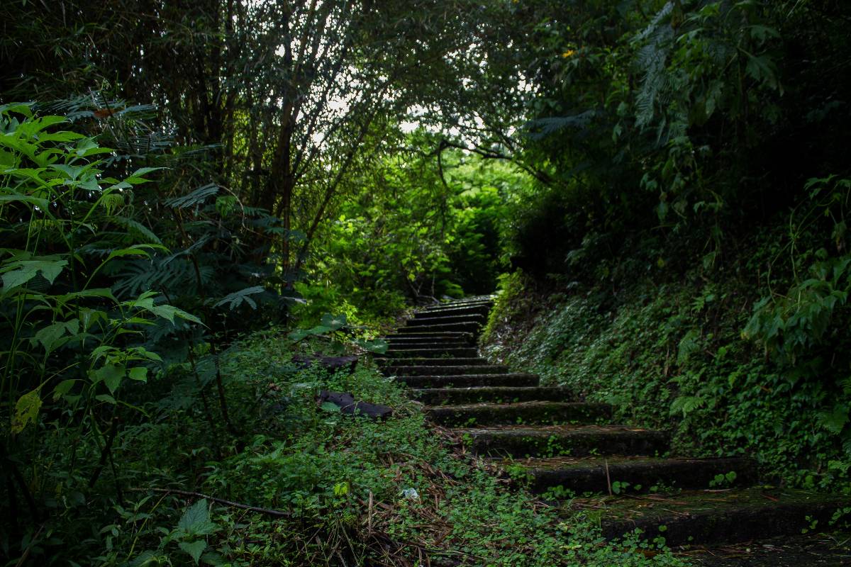 Scala nella natura